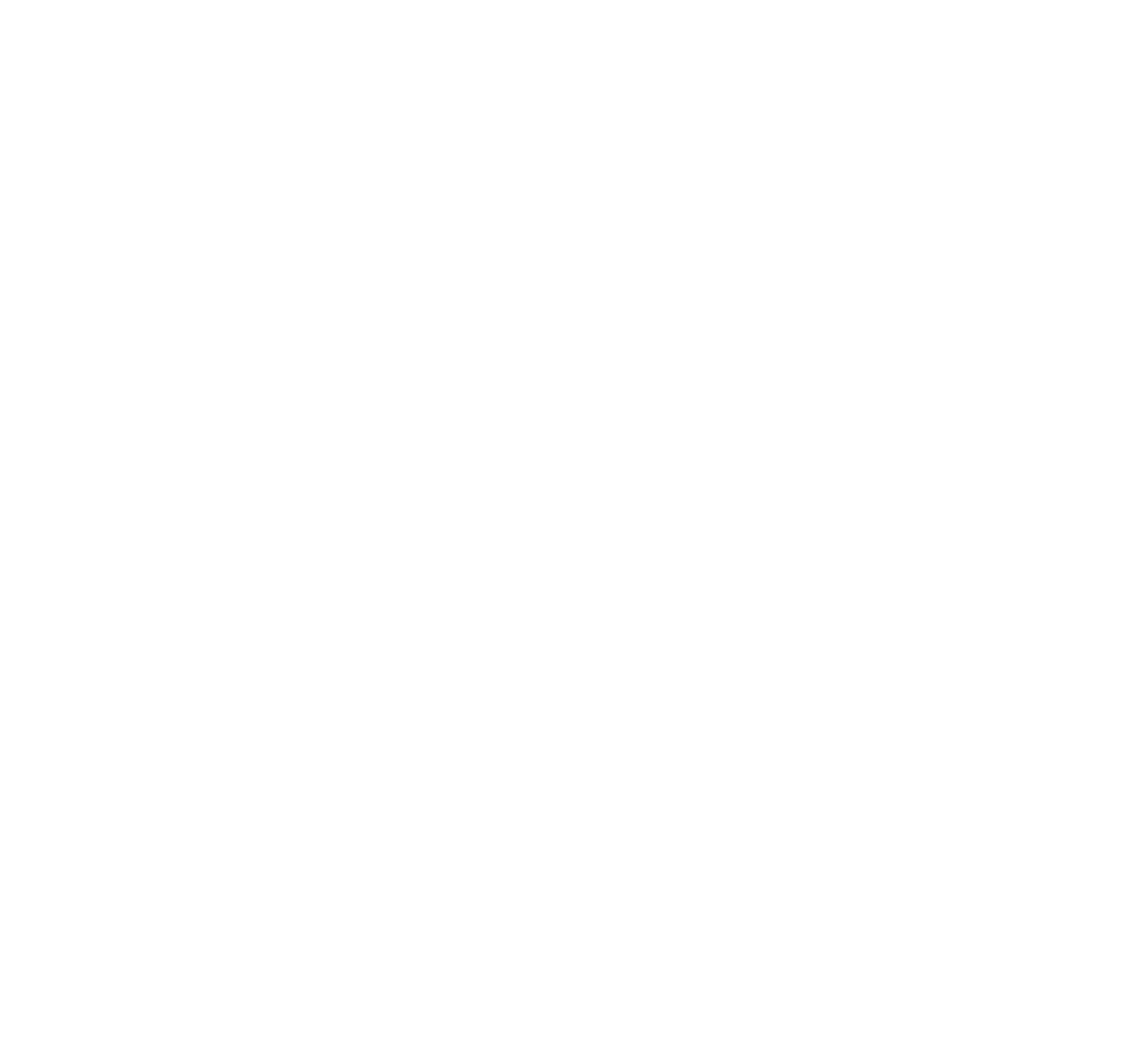 MoTIV partner